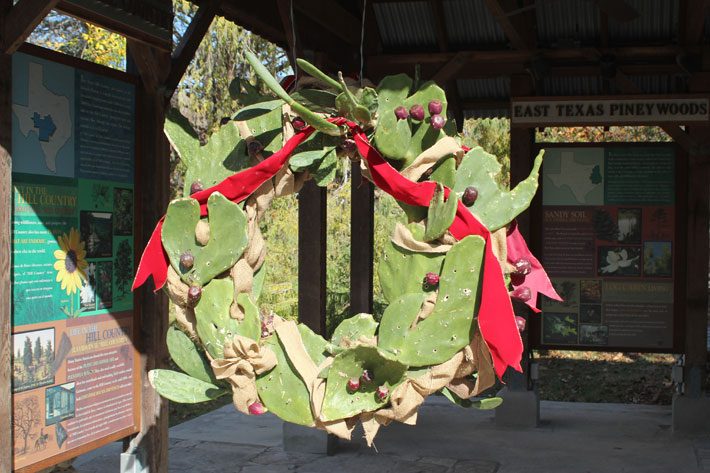 Prickly Pear with European Olive Wreath