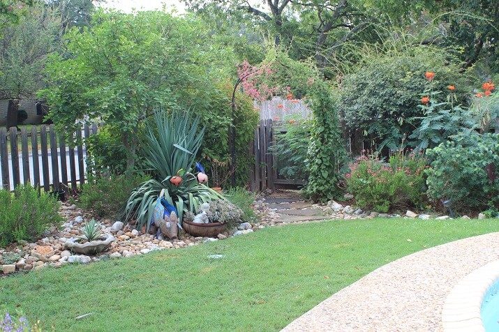 beds of plants bordering the backyard