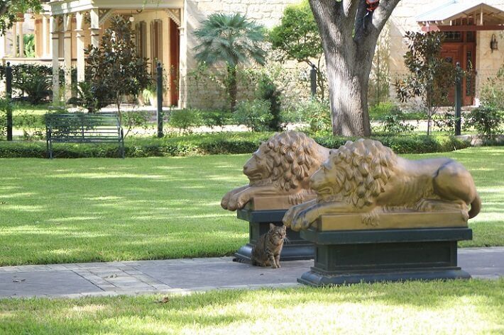 classic lion statues lining pathway | SAWS Garden Style Conservation Water Saver San Antonio Texas