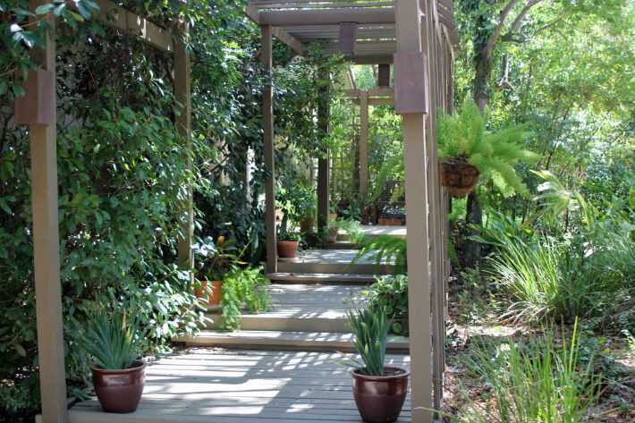 walkway with trellises on both sides and overhead