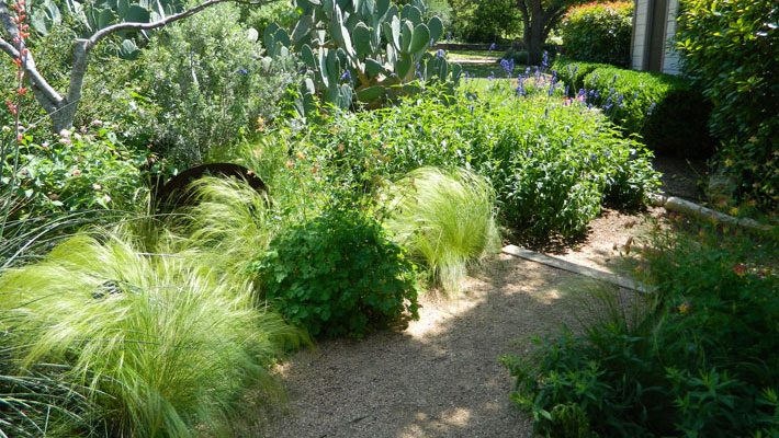 Great Textures in Xeriscaped Beds