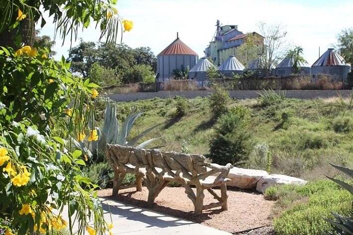 branches making a bench overlooking garden | SAWS Garden Style Conservation Water Saver San Antonio Texas