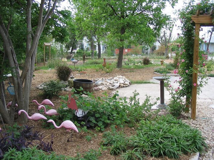 flock of plastic pink flamingos in yard | SAWS Garden Style Conservation Water Saver San Antonio Texas