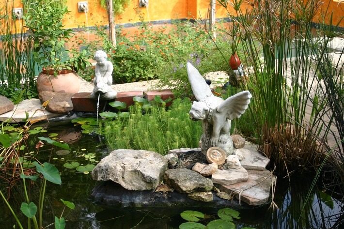 fountain griffon | SAWS Garden Style Conservation Water Saver San Antonio Texas