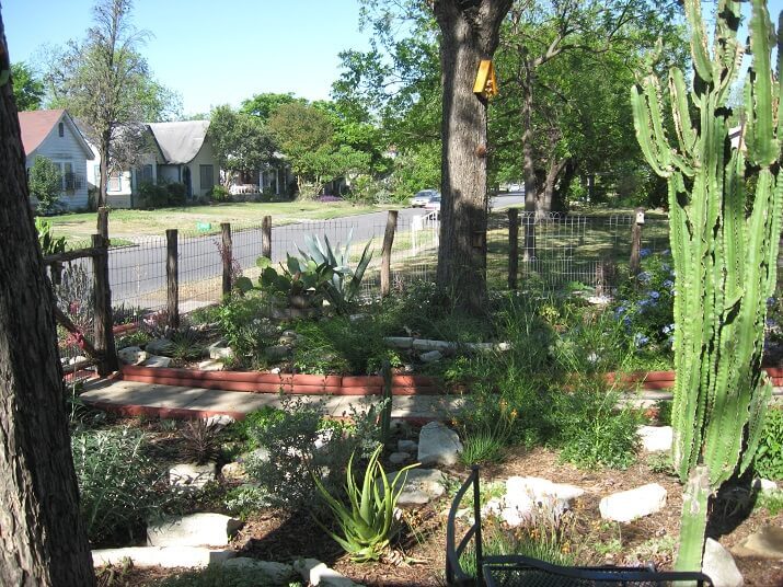 fun front yard pathway with cactii