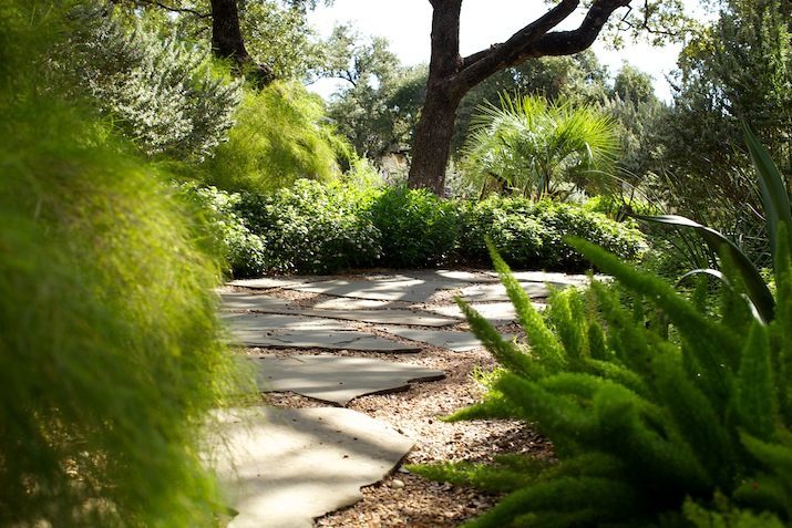 A foxtail path