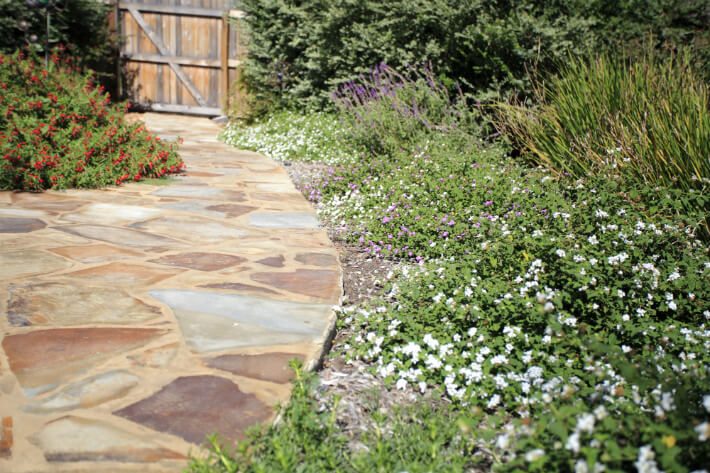 flowers spilling onto pathway