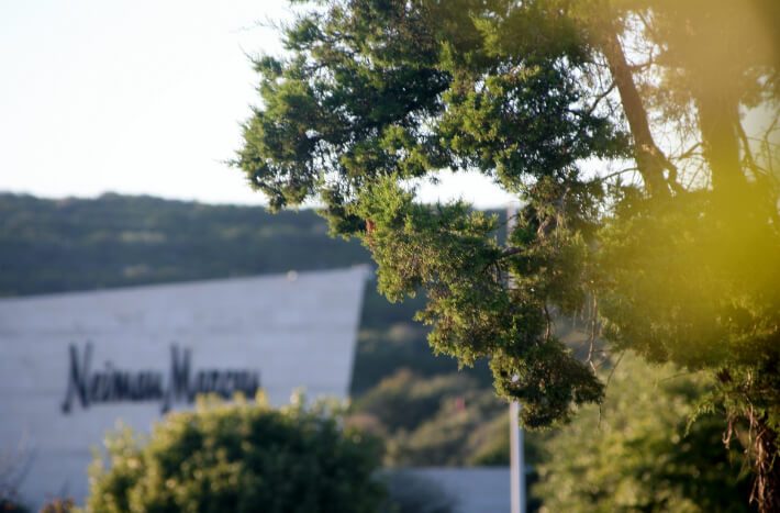 la cantera neiman juniper tree