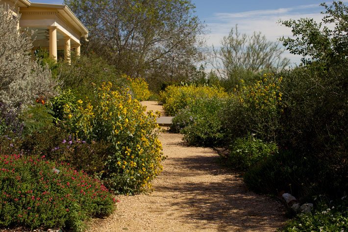 mlac-fall-garden-pathway