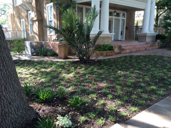 scotts edge, replacing grass with more water conscious plants | SAWS Garden Style Conservation Water Saver San Antonio Texas