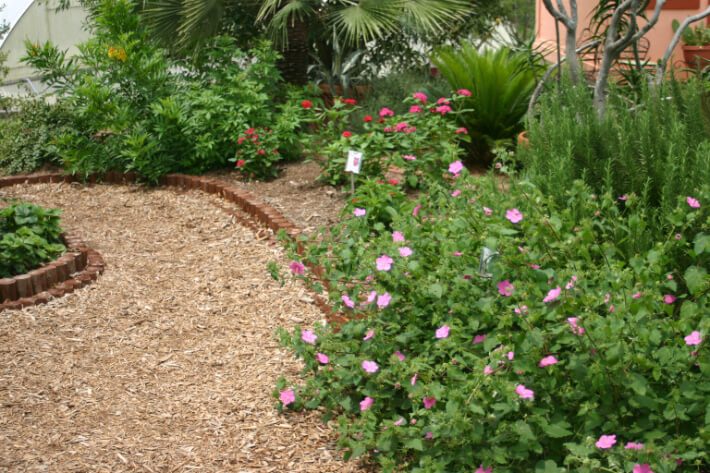 flower pathway