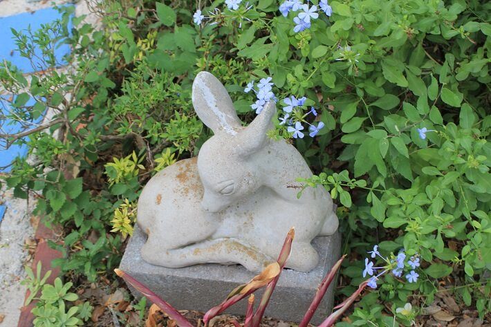stone fawn statue | SAWS Garden Style Conservation Water Saver San Antonio Texas