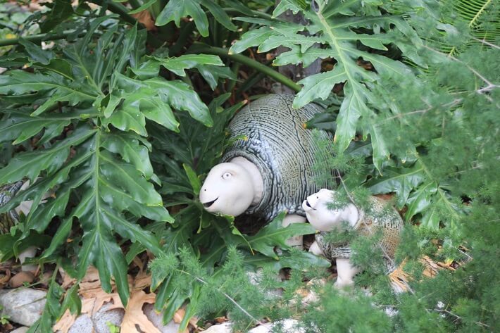 decorative statues of turtles | SAWS Garden Style Conservation Water Saver San Antonio Texas