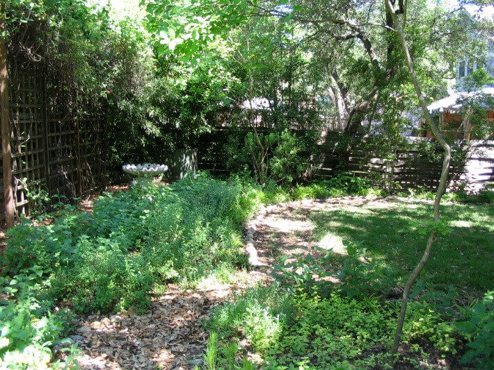 walkway mulch shade | SAWS Garden Style Conservation Water Saver San Antonio Texas