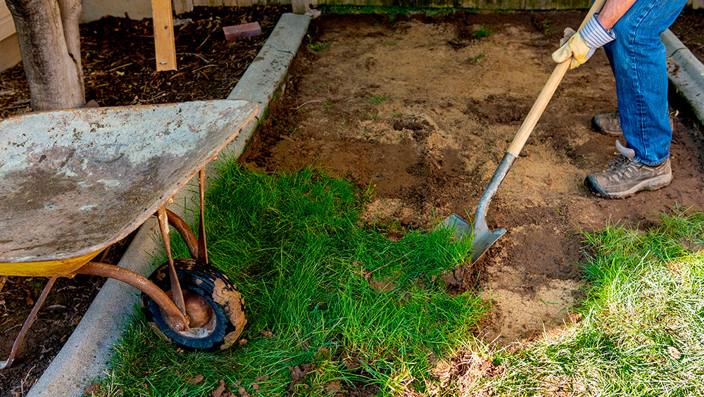 grass removal