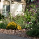 WaterSaver Landscape flower bed