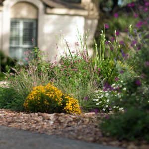 WaterSaver Landscape flower bed