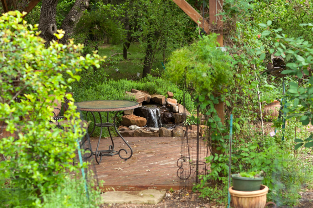 cottage garden vines and seating area