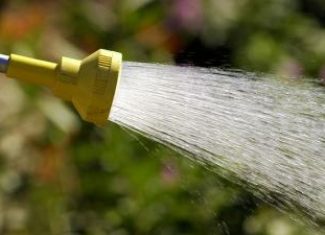 Watering in the Winter