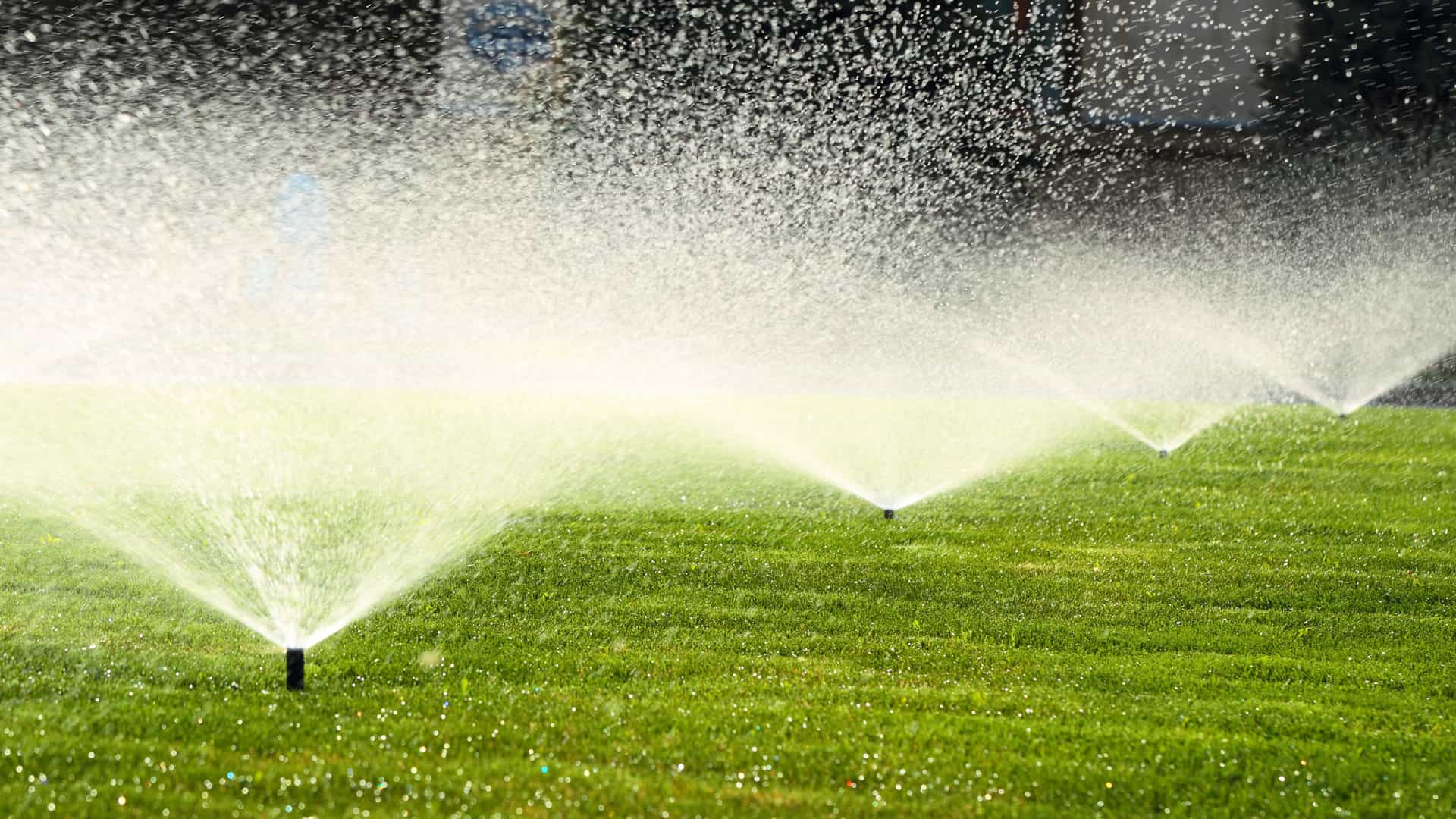 Commercial Irrigation Sprinklers | SAWS Garden Style Conservation Water Saver San Antonio Texas