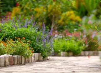 Give Your Landscape Some Edge – Use a Border