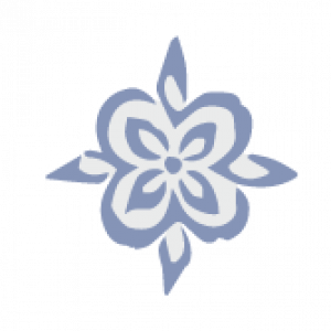 bluehorizontaldivider bluehorizontaldivider