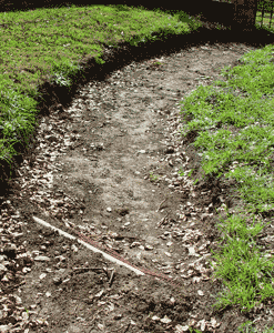 dug-out-path