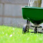 Fertilizing Lawn