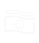 moneyicon