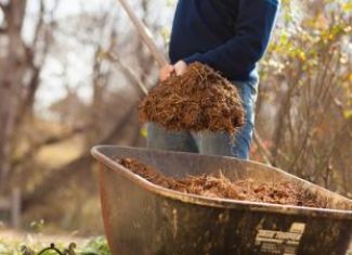 Conserve Moisture with Mulch