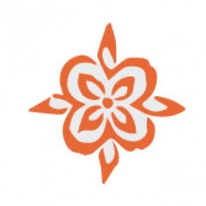 orangehorizontaldivider orangehorizontaldivider