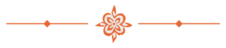 orangehorizontaldivider orangehorizontaldivider