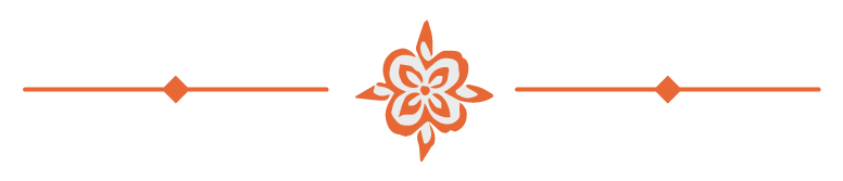 orangehorizontaldivider