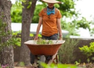 Resolve to Get Gardening and Get Healthy