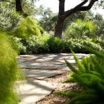 A foxtail path