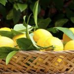 lemon basket with lemons inside