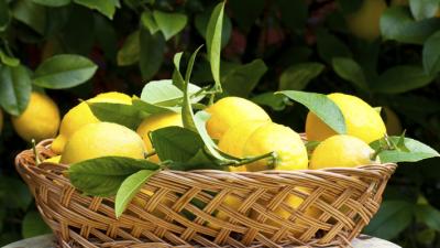 lemon basket with lemons inside