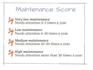 Maintenance Scores