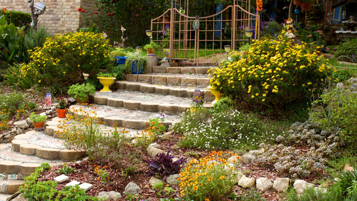 raised beds following the steps of a path