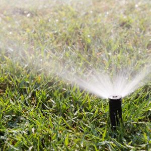 Residential Irrigation Design Rebate - Sprinkler Working on a Green Grass Lawn | SAWS Garden Style Conservation Water Saver San Antonio Texas