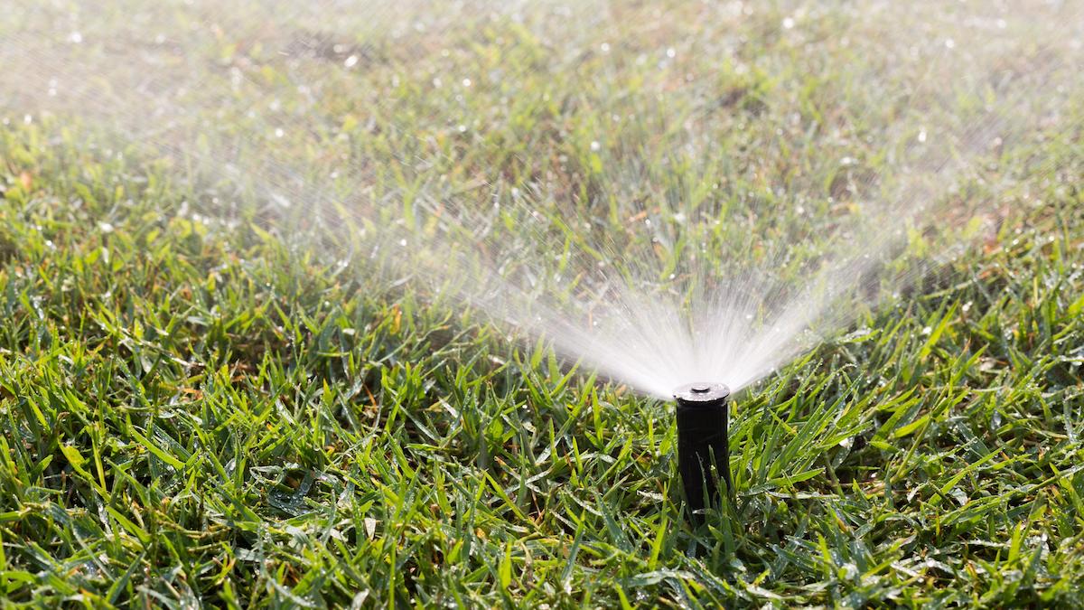 Residential Irrigation Design Rebate - Sprinkler Working on a Green Grass Lawn | SAWS Garden Style Conservation Water Saver San Antonio Texas