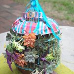 succulent bird cage complete