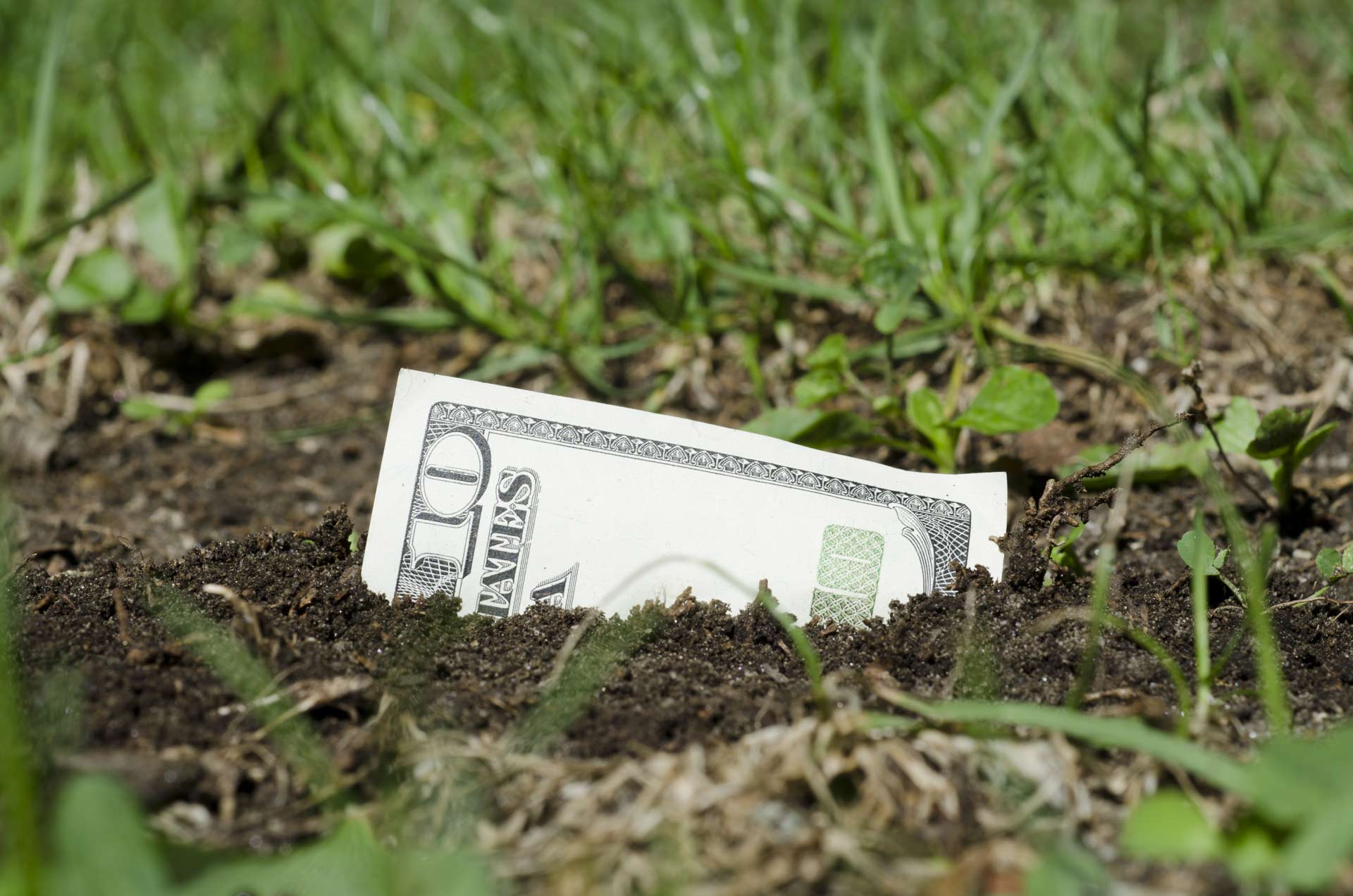 watersaver rewards dollar bill sprouting from the earth | SAWS Garden Style Conservation Water Saver San Antonio Texas