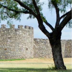 A stark mesquite tree stands guard outside San Saba mission.