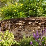 Cutaway of thin soil layer covering limestone.