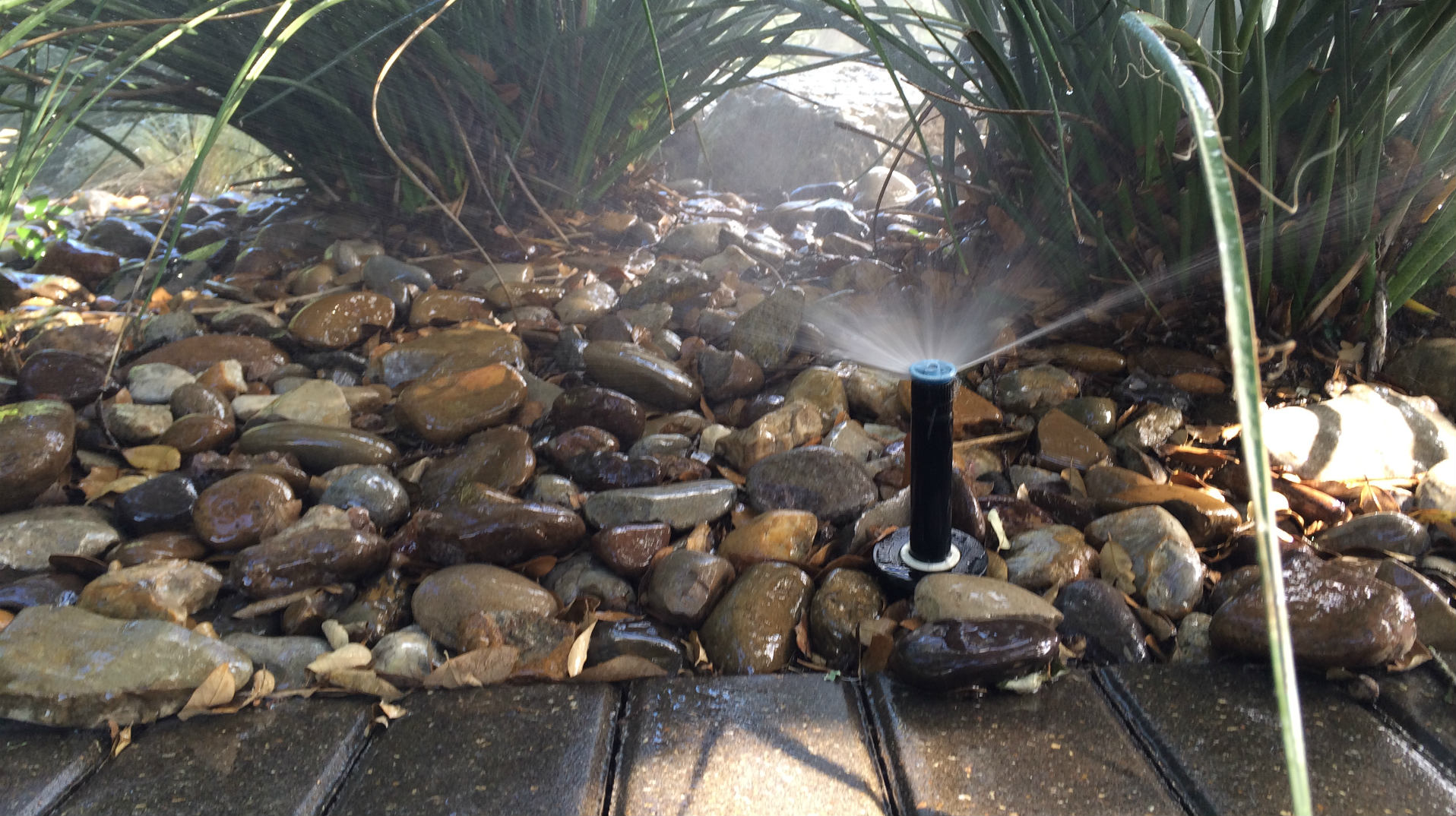 Sprinklerheads wasting water on rocks