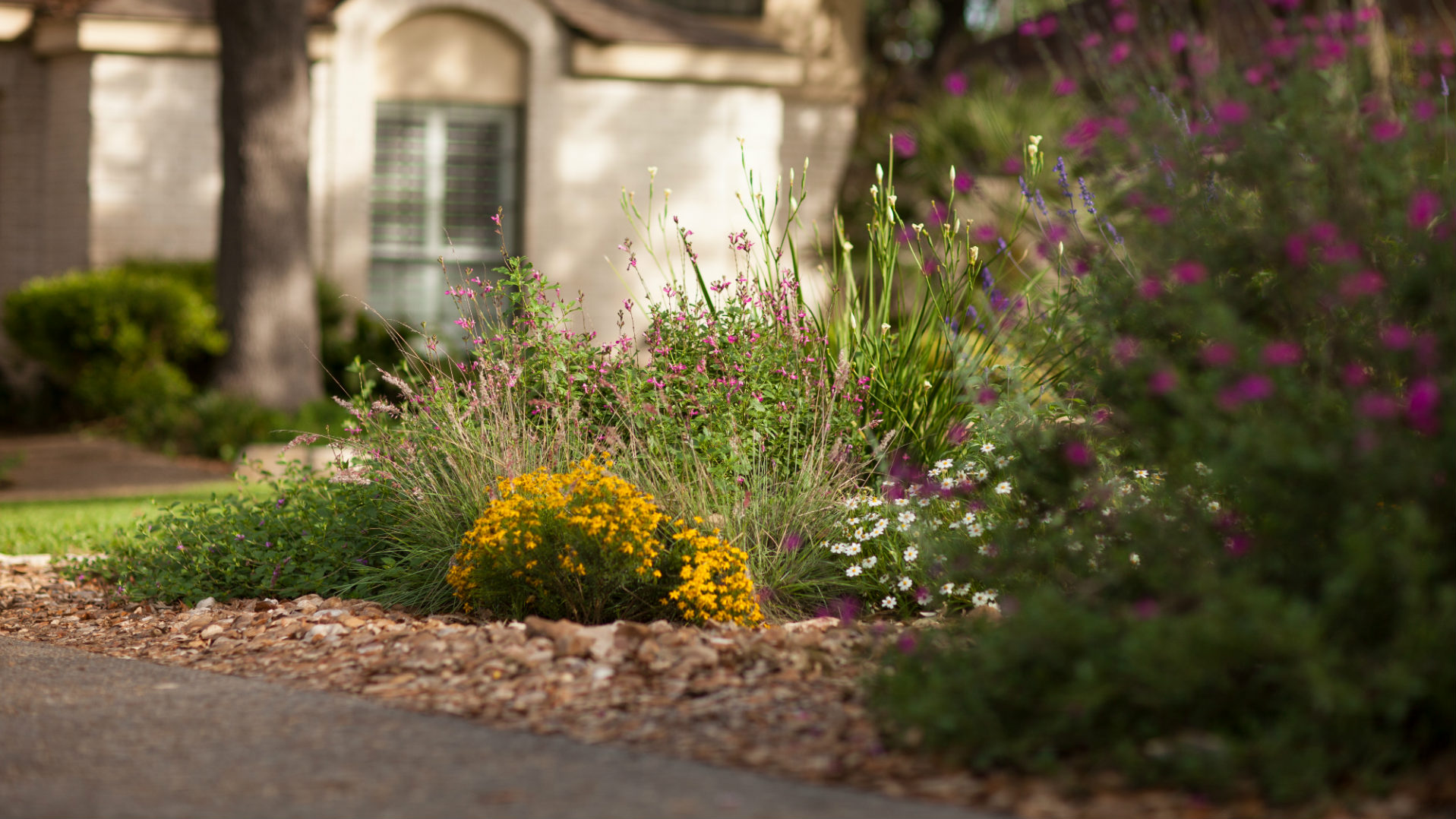 WaterSaver Landscape flower bed.