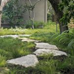 Stepping stones through a deeply shady yard.