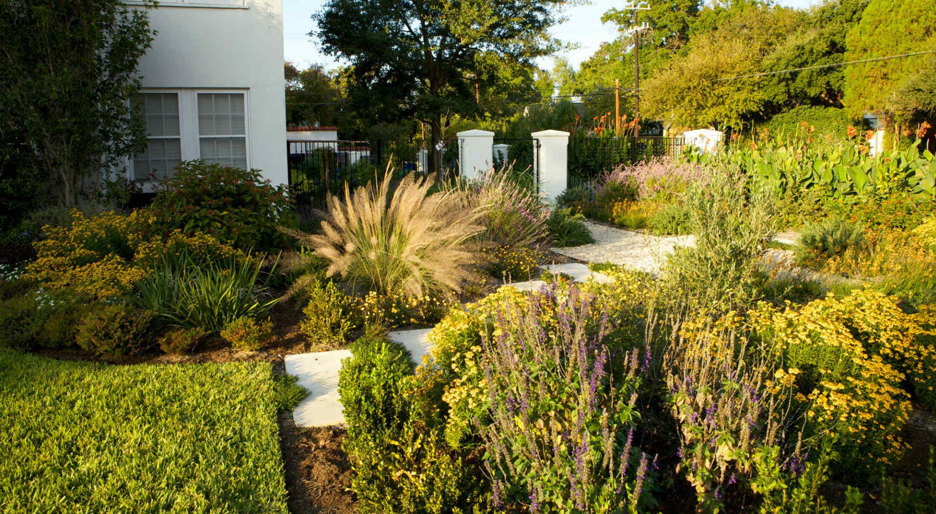 Well-designed garden bed in full sun.