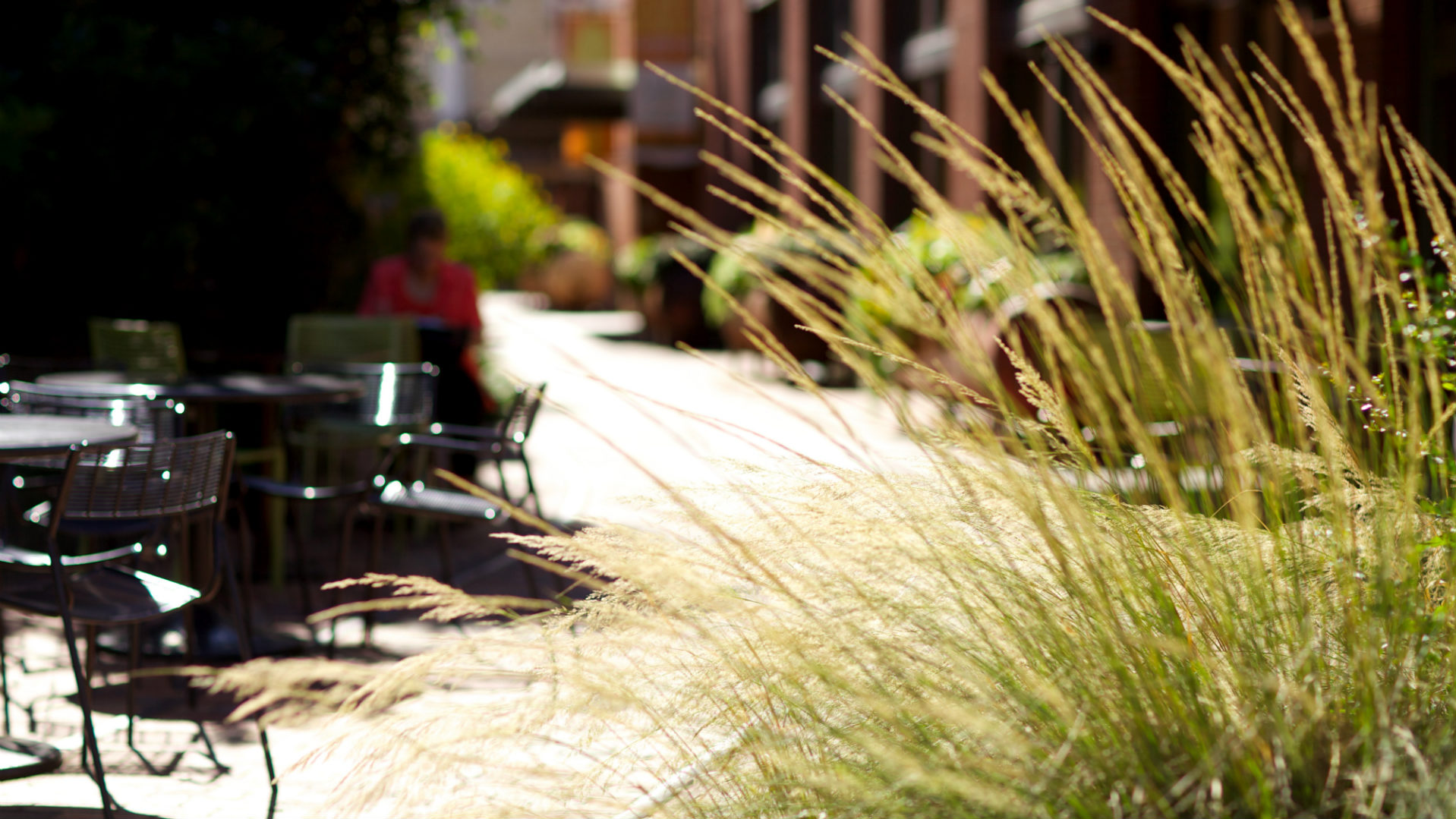 Events Garden Style San Antonio